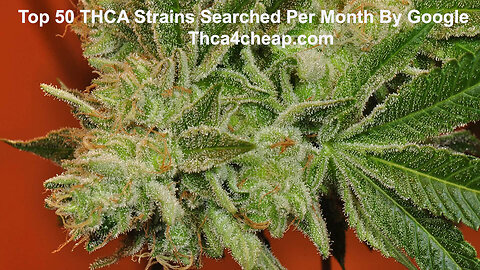 🔥 Top 50 THCA Strains Searched on Google | 2025 Must-Know List! 🔥