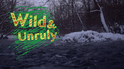 Settling Dusk at Stream, Guitar Ambience