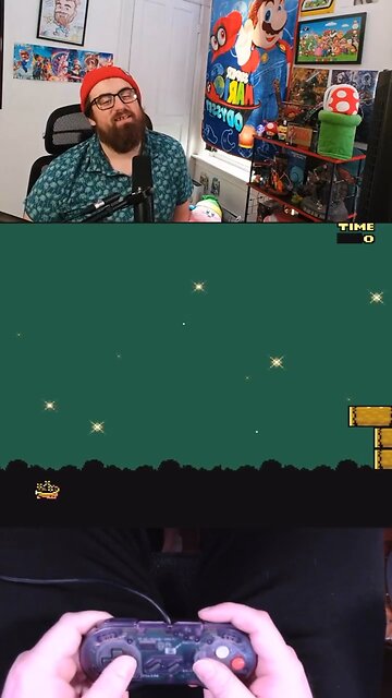 Bowser the forsaken turtle