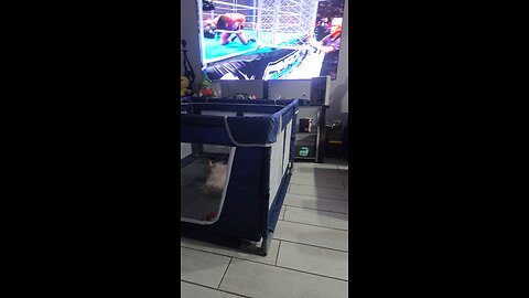 Jacob fatu cost Cody the title