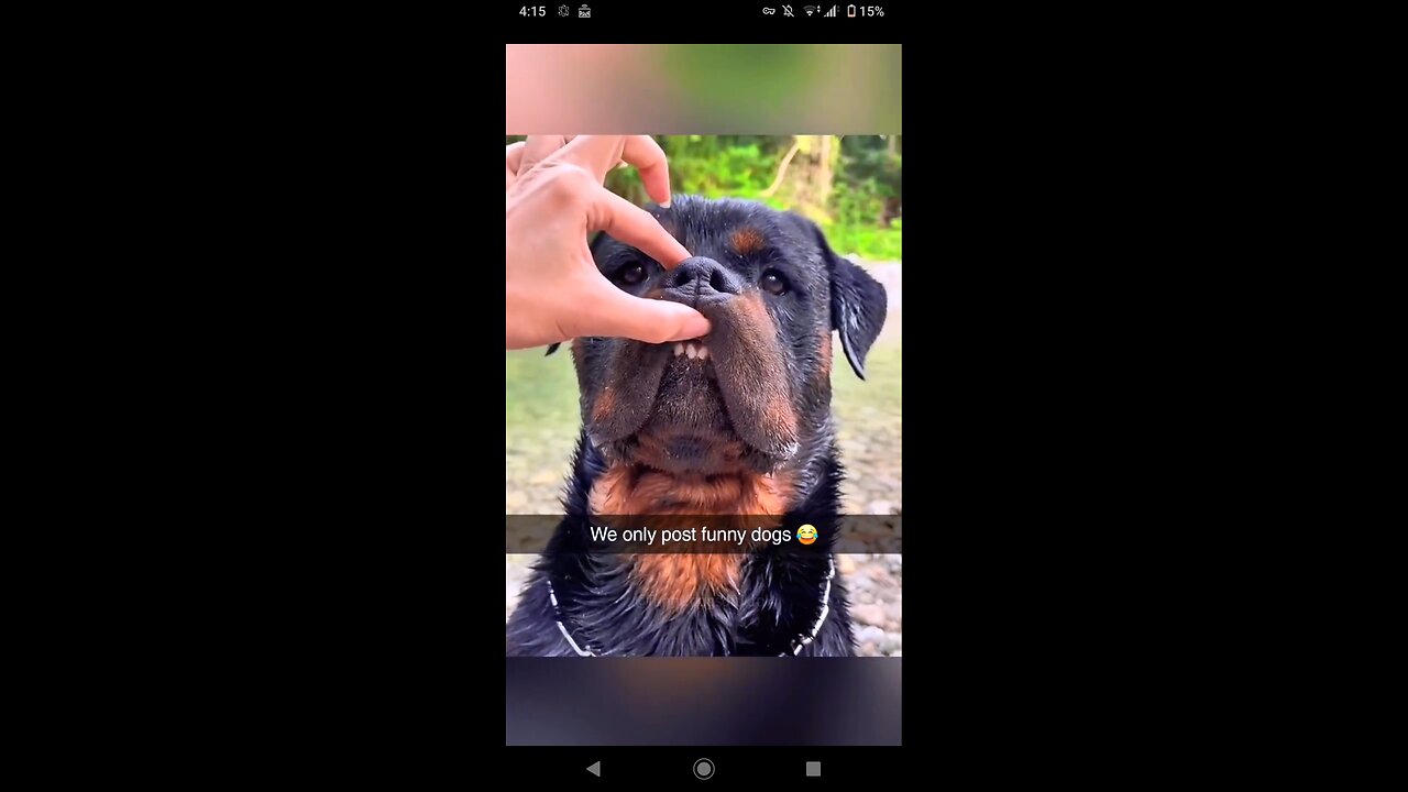 Funniest dogs moments 😂 😂 😂 plzzzzz follow me