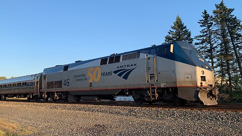 50th Anniversary Amtrak (gray)