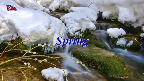 Four Seasons of Mt. Paektu --Spring--