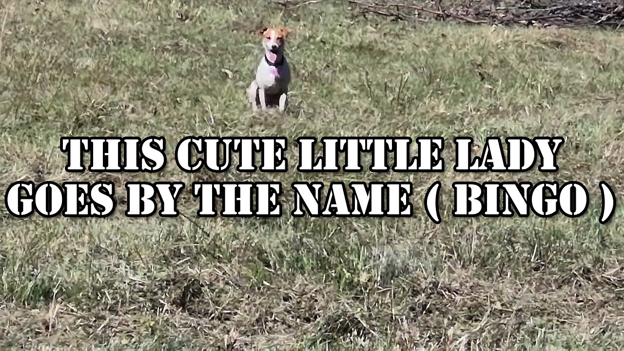 BUSH HOGGIN' FOR CHILDREN EP-6