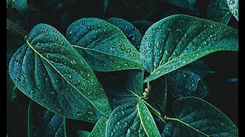 Rain 🎶 Relaxing Instrumental Music by Fountain Sounds