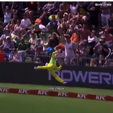 Greatest Fielding Effort By Steve Smith