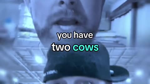 How Cows Help Understand Gov Structures