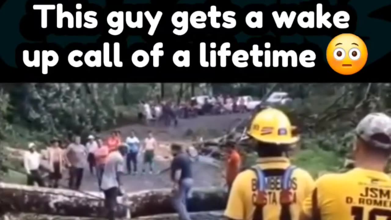 This guy gets a wake-up call from the tree in the road. Wow 😅