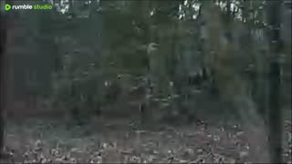 Changing cards and batteries.