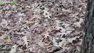 Changing cards and batteries.