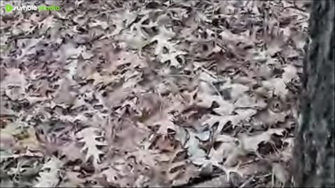 Changing cards and batteries.