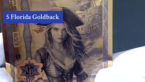 V28 5 FLORIDA GOLDBACK