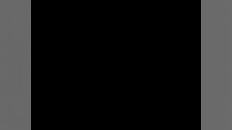 05.50. The Bealty saint and Tarja Dream