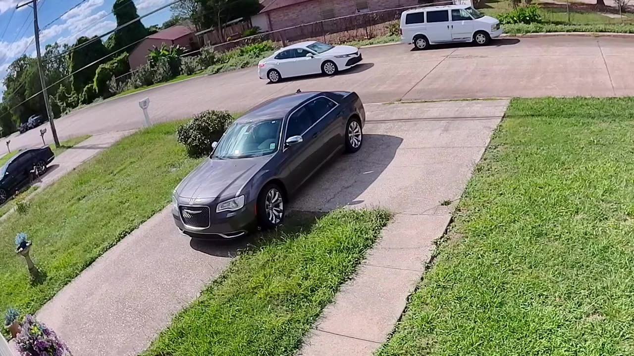 Shocking Moment Neighbor’s Dog Almost Hit By Car Caught On Camera #dog #shocking #viral #death