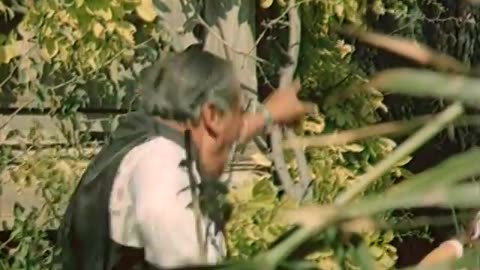 Cici Kız - Türk Filmi