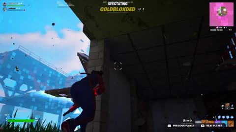 CHILL STREAM PLAYING FORTNITE