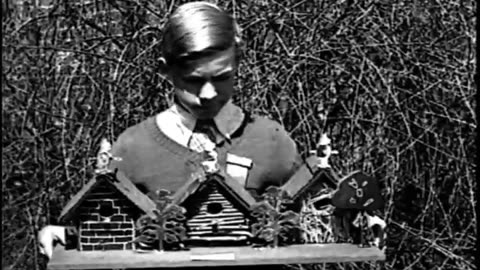 FORD NEWS - FORD NEWS - fc-fc-4233