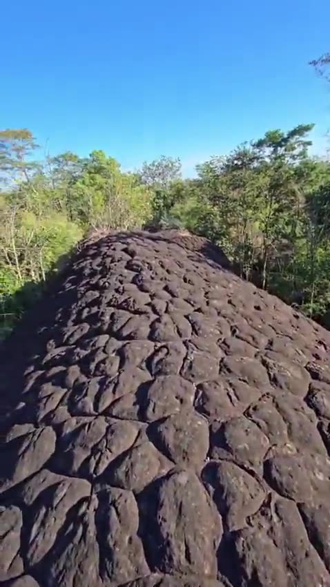 WALKING ON A GIANT SNAKE OR DRAGON OF THE PAST