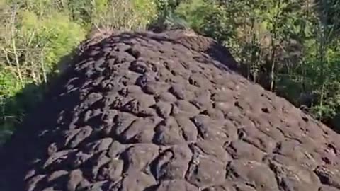 WALKING ON A GIANT SNAKE OR DRAGON OF THE PAST