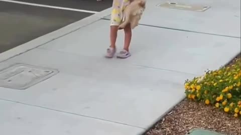 Little Girl’s Heartwarming Day with a Stray Dog 🐶 | Emotional Reunion