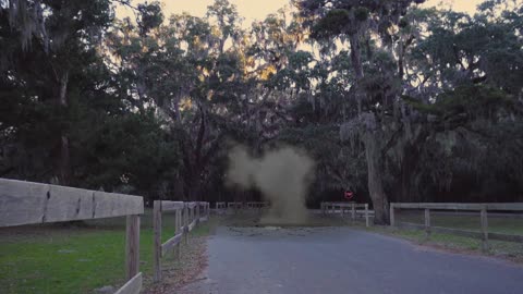 Ahh, hello roadside assistance?