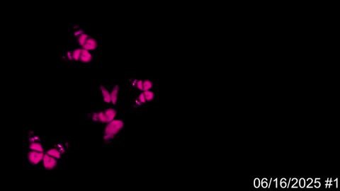 (6/16/2025) Super cool live-stream rap freestyle session!