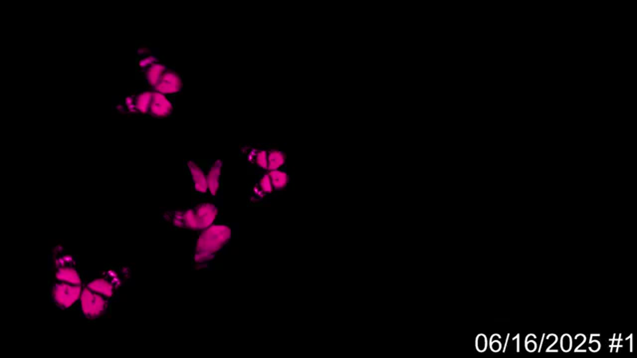 (6/16/2025) Super cool live-stream rap freestyle session!