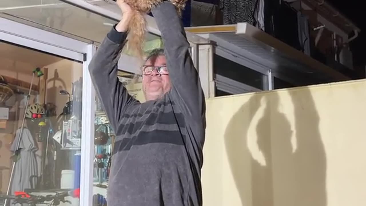 Dad Helps Dog Look Over Fence