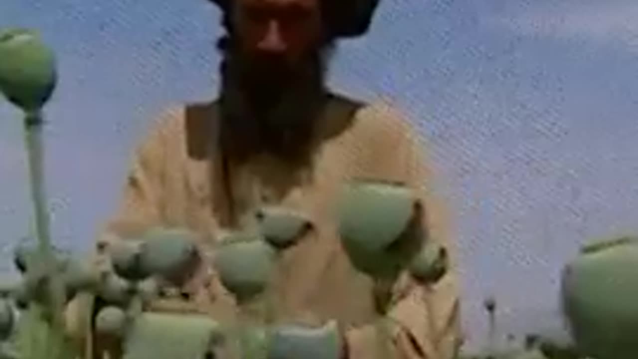 USAID FUNDED CIA DRUG RUNNING