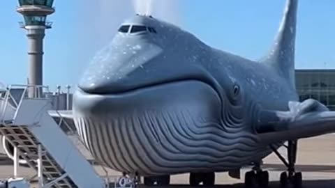 Whale Airliners