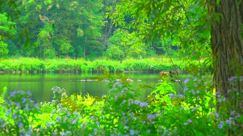 September scenes northern New York.