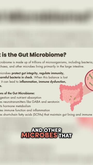 Gut Microbiome: The Key to a Healthy You!