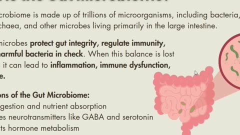 Gut Microbiome: The Key to a Healthy You!