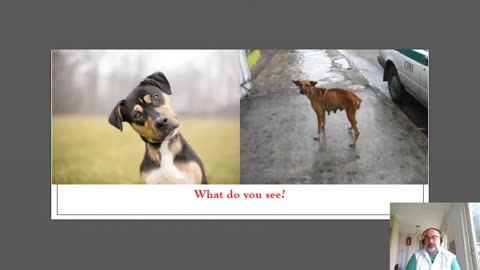 Hyperreality Examples
