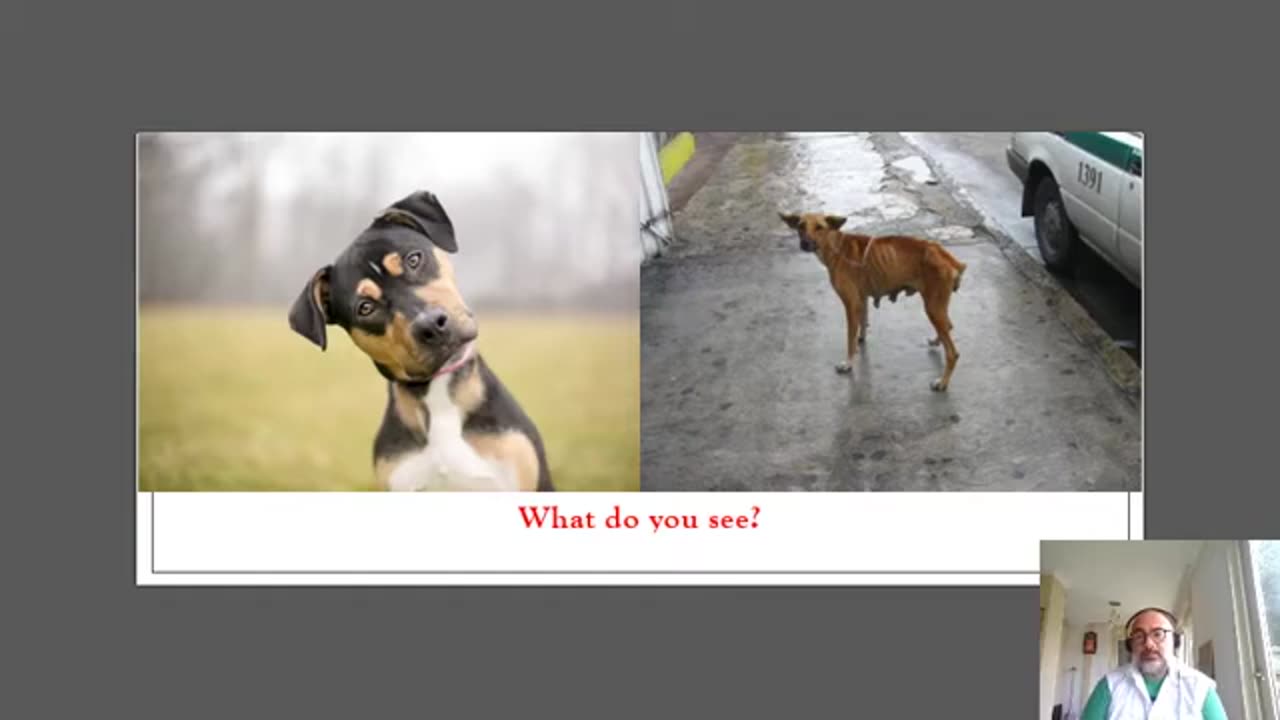 Hyperreality Examples