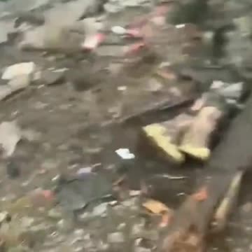 Ukrainians Retake Fortified Substation Near Toretsk