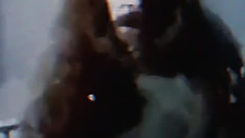 Os inexplicáveis medos dos anos 80