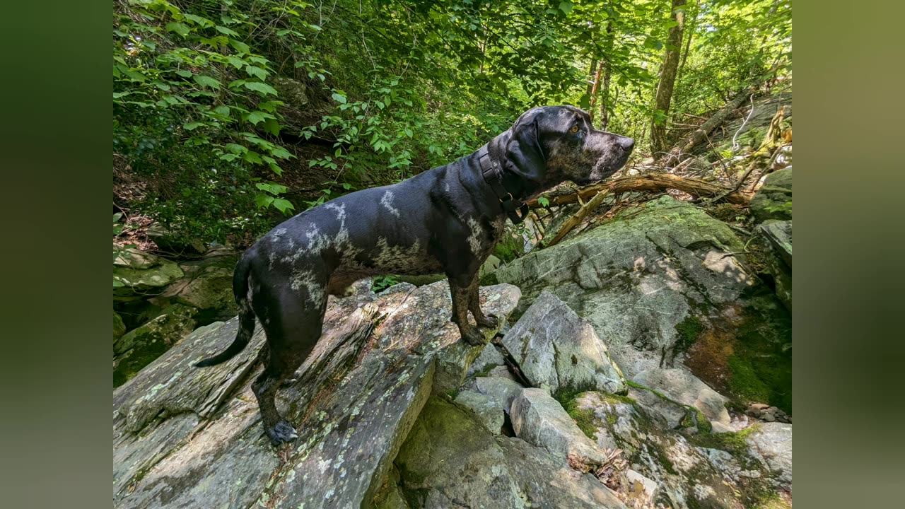 Exploring White Rock Falls in Virginia