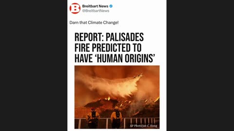 WILD NEWS 17-WILD AS FIRES BURN PROPERTY AND NOT TREES PART II