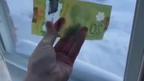 Canada's Banknotes Are Almost Indestructible! Here's Why!