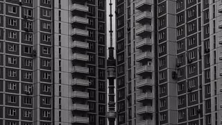 Durante un paseo habitual, una chica nota una vista hermosa