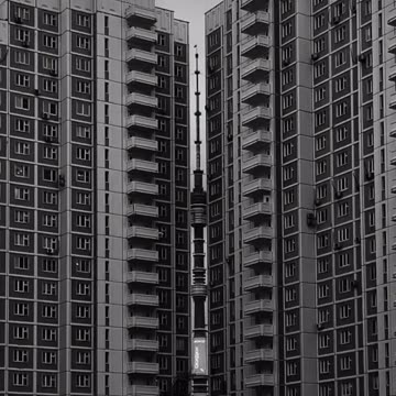 Durante un paseo habitual, una chica nota una vista hermosa