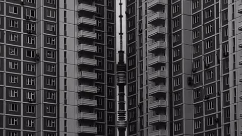 Durante un paseo habitual, una chica nota una vista hermosa