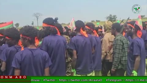 Qophii Eebbaa WBO ONM-ABO Sadaasa 5-2025 itti dhiyaadhaa!