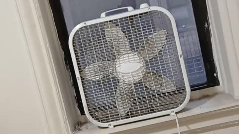 Bronx man 👨 suspected of killing man 👨 near pizzeria had long rap sheet