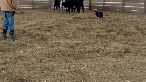 Wendy Sue - 1/19/2025 - 3