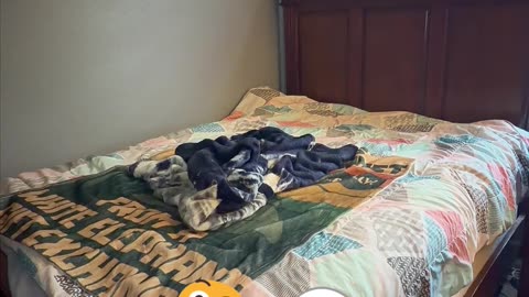 Making My Bed Every Day (Day 21) - Can I Get Sponsored By Purple?