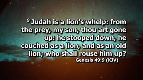 New Hope Church- MonettMO Stream