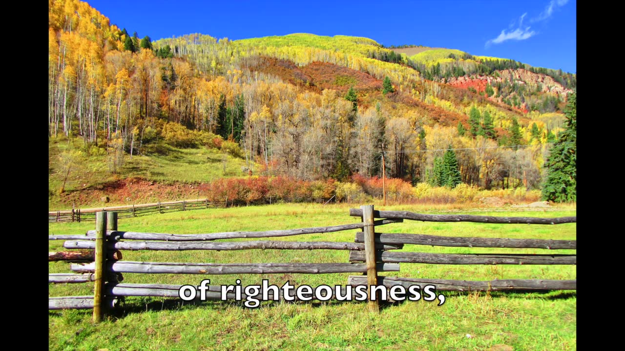 #13: “The Lord’s My Shepherd, I’ll Not Want” (w/lyr.) | MODERN MELODIES to METHODIST HYMNAL LYRICS