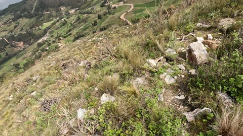 Black Tourmaline Crystals in Cajamarca